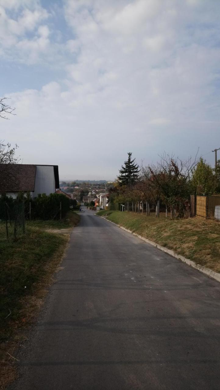 Studio Apartman Kotro Beli Manastir Exterior foto